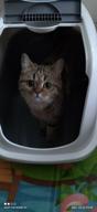 img 2 attached to Toilet house for cats SAVIC Nestor 56x39x38.5 cm white/black 1 pc. review by Erzsbet Rcz ᠌
