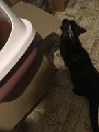img 3 attached to Toilet house for cats SAVIC Nestor 56x39x38.5 cm white/black 1 pc. review by Iveta Riakov ᠌
