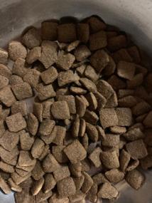 img 13 attached to Dry food for dogs Forza10 for diseases of the gastrointestinal tract, with sensitive digestion 1 pack. x 1 pc. x 4 kg