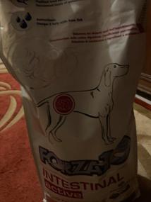 img 12 attached to Dry food for dogs Forza10 for diseases of the gastrointestinal tract, with sensitive digestion 1 pack. x 1 pc. x 4 kg