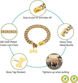 img 3 attached to 🐶 18K Gold Dog Collar: Stylish Training Collar for Small, Medium, and Large Dogs