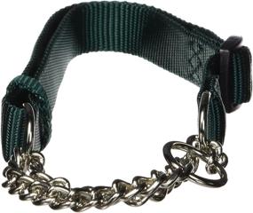 img 1 attached to Hamilton Adjustable Combo Choke Collar Dogs ~ Training & Behavior Aids