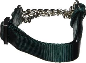 img 2 attached to Hamilton Adjustable Combo Choke Collar Dogs ~ Training & Behavior Aids