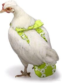 img 3 attached to 🐔 Washable Chicken Diapers for Hens or Roosters - Stylish Nappy - Pet Chicken Diaper (Star Spangle, Small)