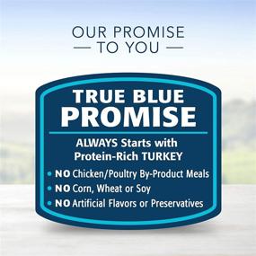 img 1 attached to 🐱 Blue Buffalo Healthy Gourmet Natural Adult Pate Wet Cat Food: Turkey & Chicken - 24 Pack, 5.5-oz Cans