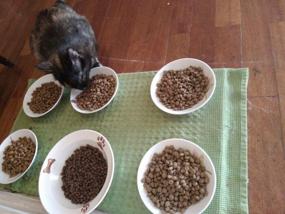img 8 attached to Фармина N&D Quinoa Вп management баранина 🐱 Брокколи и спаржа Сухой корм для кошек 3,3 фунта