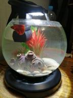 img 1 attached to Aquarium set 6.8 l (lighting, cover, filter) Tetra Cascade Globe Duo Waterfall black review by Agata Warda ᠌