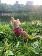 img 1 attached to Puppia Soft Vest Harness PRO Cats and Collars, Harnesses & Leashes review by Ivana Herbortova ᠌