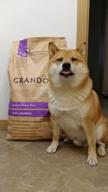 img 2 attached to Dry food for dogs Grandorf hypoallergenic, Low Grain, lamb with brown rice 1 pack. x 1 pc. x 3 kg review by Felicja Foktyska ᠌