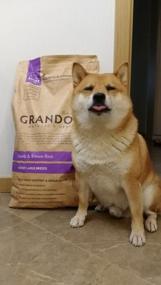 img 8 attached to Dry food for dogs Grandorf hypoallergenic, Low Grain, lamb with brown rice 1 pack. x 1 pc. x 3 kg