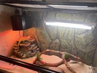 img 1 attached to Lamp Repti Zoo for terrarium, 2*150W, 285*145*190mm review by Czesawa Rosiska ᠌