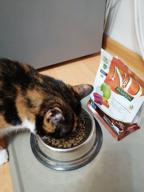 img 2 attached to Dry food for adult cats Farmina N&D Pumpkin, grain-free, with venison, with pumpkin, with apple 1.5 kg review by Wiktor Krel ᠌