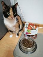img 3 attached to Dry food for adult cats Farmina N&D Pumpkin, grain-free, with venison, with pumpkin, with apple 1.5 kg review by Wiktor Krel ᠌