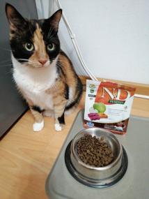 img 8 attached to Dry food for adult cats Farmina N&D Pumpkin, grain-free, with venison, with pumpkin, with apple 1.5 kg