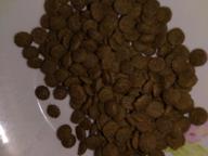 img 3 attached to Dry cat food Farmina N&D Ancestral Grain, with lamb, with blueberries 1.5 kg review by Andrey Stanchev ᠌