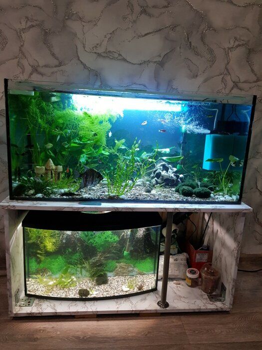 img 1 attached to 🐠 Eheim Pro 4 Plus 250 Canister Filter for Aquariums up to 65 Gallons review by Celina Macioszek ᠌