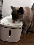 img 1 attached to Xiaomi Car Drinker Water Fountain for Cats and Dogs Mijia Smart Pet Water Dispenser XWWF01MG review by Boguslawa Zaucha ᠌