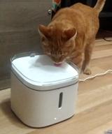 img 1 attached to Xiaomi Car Drinker Water Fountain for Cats and Dogs Mijia Smart Pet Water Dispenser XWWF01MG review by Ingrid Gajdoov ᠌