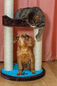 img 3 attached to 🐱 Lugo Cat Tree by Trixie Pet Products - Enhance Your Cat's Lifestyle with this Stylish Cat Tree