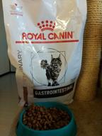 img 1 attached to Royal Canin Gastrointestinal Dry diet food for adult cats with digestive disorders, 2 kg review by Darina Noskovic ᠌