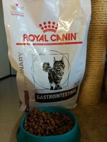 img 6 attached to Royal Canin Gastrointestinal Dry diet food for adult cats with digestive disorders, 2 kg