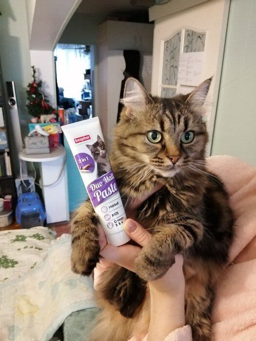 img 1 attached to Beaphar Malt Paste: Effective Anti-Hairball Solution for All Cats (100 g./Pack) review by Ivana Hamarova Skodl ᠌