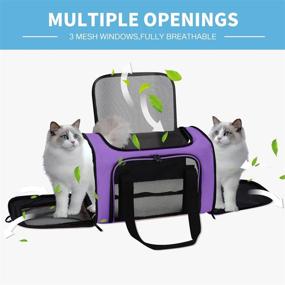 img 2 attached to Pnimaund Airline Approved Pet Carrier - Soft Cat Carriers for Large & Medium Cats, Dog Carriers for Small Dogs - TSA Approved for Cats & Dogs up to 15 Lbs/25 Lbs