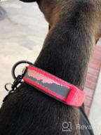 img 1 attached to Pawtitas XS Teal Lumberjack Padded Martingale Dog Collar With Reflective Band For Maximum Visibility, Comfort And Safety - Fits Small & Large Dogs review by Ryan Hoover