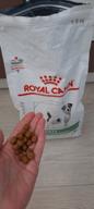 img 1 attached to Dry dog ​​food Royal Canin Satiety SSD30, for weight loss 1 pack. x 1 pc. x 1.5 kg (for small and dwarf breeds) review by Stanislaw Plonka ᠌