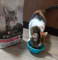 img 3 attached to Dry food for cats Pro Plan Delicate 7+ with sensitive digestion with turkey 3 kg review by Ewa Wesola ᠌