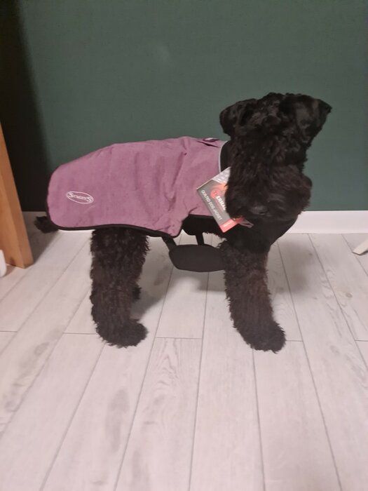 img 2 attached to Scruffs Quilted Thermal Coat Cajun Dogs - Apparel & Accessories review by Kiril Terziyski ᠌