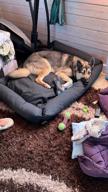 img 1 attached to Bed for dogs and cats Scruffs Thermal Box Bed 60x50 cm 60 cm 50 cm black review by Agnesa Horvathova ᠌