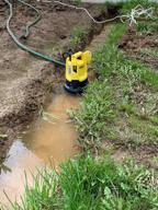 img 1 attached to Drainage pump KARCHER SP 1 Dirt (1.645-500.0) (250 W) review by Micha Maciejowicz ᠌