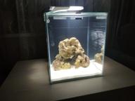 img 1 attached to Freshwater 49 l AQUAEL Fish&Shrimp Set Duo 35 black review by Agata Konarska ᠌