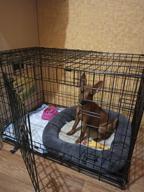 img 1 attached to Midwest Products Co. 48-Inch Contour Double Door Canine Crate review by Adam Nikodem ᠌