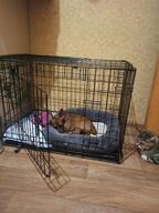 img 2 attached to Midwest Products Co. 48-Inch Contour Double Door Canine Crate review by Adam Nikodem ᠌