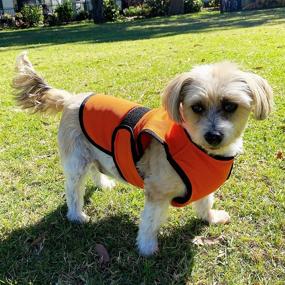 img 1 attached to DOGZSTUFF Dog Cooling Vest: The Ultimate Triple-Layer Microfiber Cooling Jacket for Small, Medium, and Large Dogs