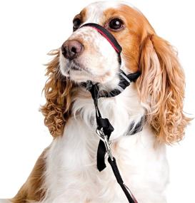 img 3 attached to Halti Optifit Headcollar - No Pull Optifit Head Collar for Dogs, Ideal for Leash Training, Stops Pulling, Comfortable & Adjustable, Humane Design, Durable & Safe, Effective for Effective Training, Available in 3 Sizes