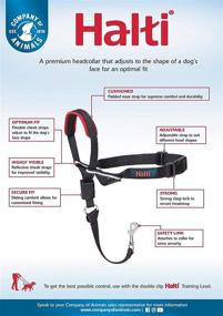 img 2 attached to Halti Optifit Headcollar - No Pull Optifit Head Collar for Dogs, Ideal for Leash Training, Stops Pulling, Comfortable & Adjustable, Humane Design, Durable & Safe, Effective for Effective Training, Available in 3 Sizes