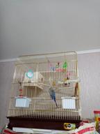 img 1 attached to Nest house Ferplast Nido Medium 19.5x14x14cm wood review by Celina Niemyjska ᠌
