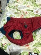 img 1 attached to Puppia Tomas Winter Vest RED review by Erzsbet Bir ᠌