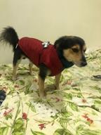 img 2 attached to Puppia Tomas Winter Vest RED review by Erzsbet Bir ᠌