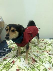 img 4 attached to Puppia Tomas Winter Vest RED