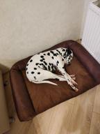 img 1 attached to Sofa-bed for dogs of large breeds 100 * 70cm matting Muscat review by Danuta Py ᠌