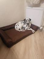 img 2 attached to Sofa-bed for dogs of large breeds 100 * 70cm matting Muscat review by Danuta Py ᠌