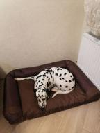 img 3 attached to Sofa-bed for dogs of large breeds 100 * 70cm matting Muscat review by Danuta Py ᠌