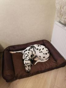 img 5 attached to Sofa-bed for dogs of large breeds 100 * 70cm matting Muscat