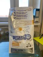 img 1 attached to Forza10 Urinary Health Salmon Flavor review by Bogdan Shahanski ᠌