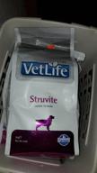 img 1 attached to Dry food for dogs Farmina Vet Life Struvite Canine, with urolithiasis 1 pack. x 1 pc. x 2 kg review by Ivana Mala ᠌