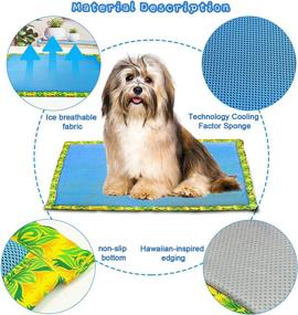 img 3 attached to Washable Dog Bed Crate Pad, High Density Foam, Pet Mattress for 🐕 Small to Medium Dogs and Cats – Ideal for Sofa, Car Seat, and Floor